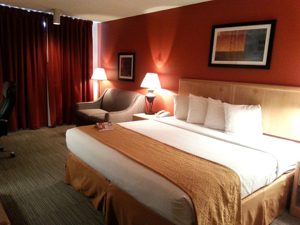 Quality Inn & Suites Garden Of The Gods Colorado Springs Buitenkant foto